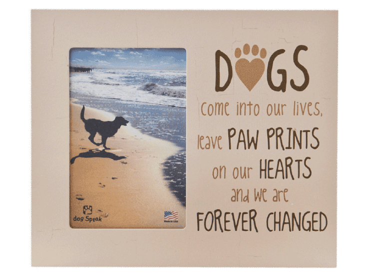 Sympathy:  Picture Frame "DOGS come into our lives, leave PAW PRINTS...."