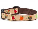 Dog Collars: 5/8" or 1" Width- Apple of My Eye Clip Collar and/or Leash