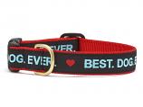 Dog Collars: 5/8" or 1" Wide Best Dog Ever Collar