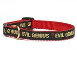 Up Country Cat Collar: Evil Genius