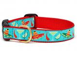 Dog Collars: 5/8" or 1" Wide Cinco De Mayo Clip Collar