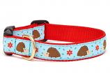 Dog Collars: 5/8" or 1" Wide Hedgehog Clip Collar