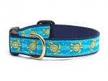 Dog Collars: 5/8" or 1" Wide Sea Turtle Collar