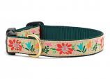 Dog Collars: 5/8" or 1" Wide Tapestry Clip Collar