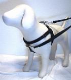 Custom Color Combination Freedom No-Pull Harness (3-5 Weeks Custom Made)